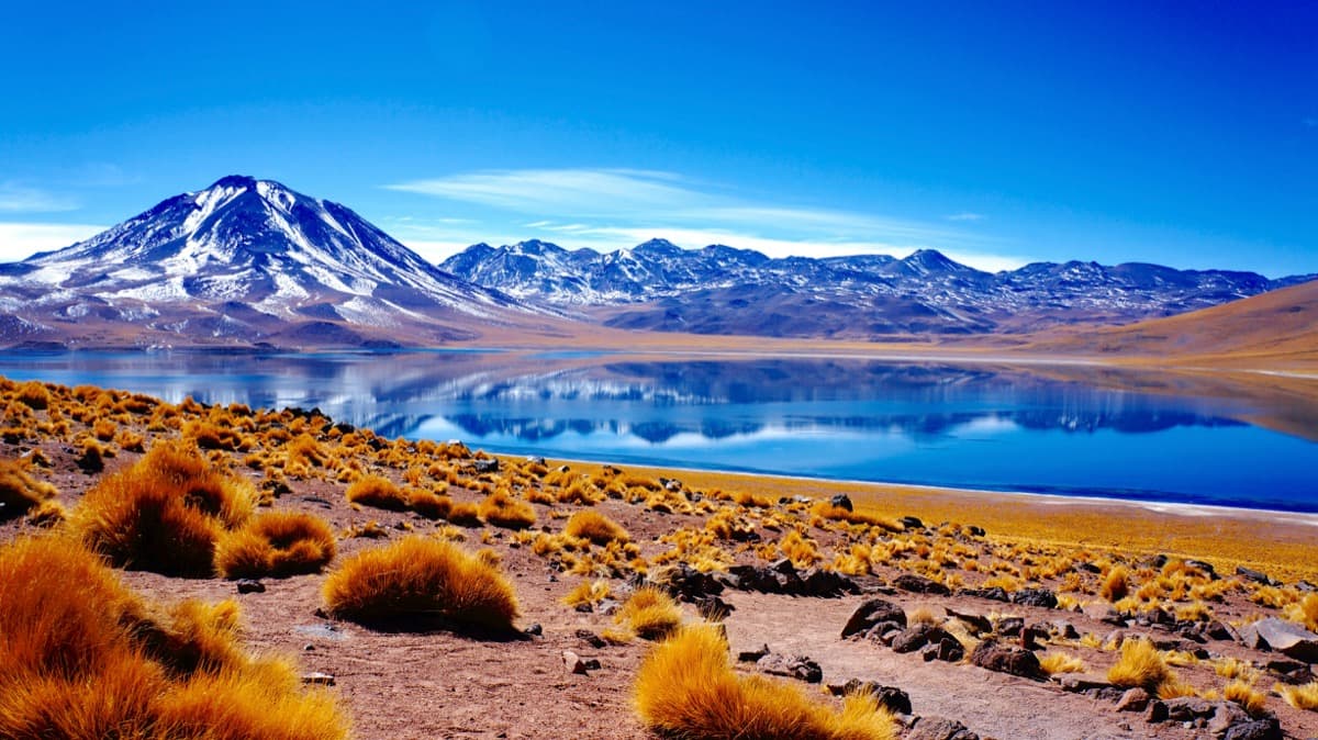Laguna Miscanti in the Atacama Desert